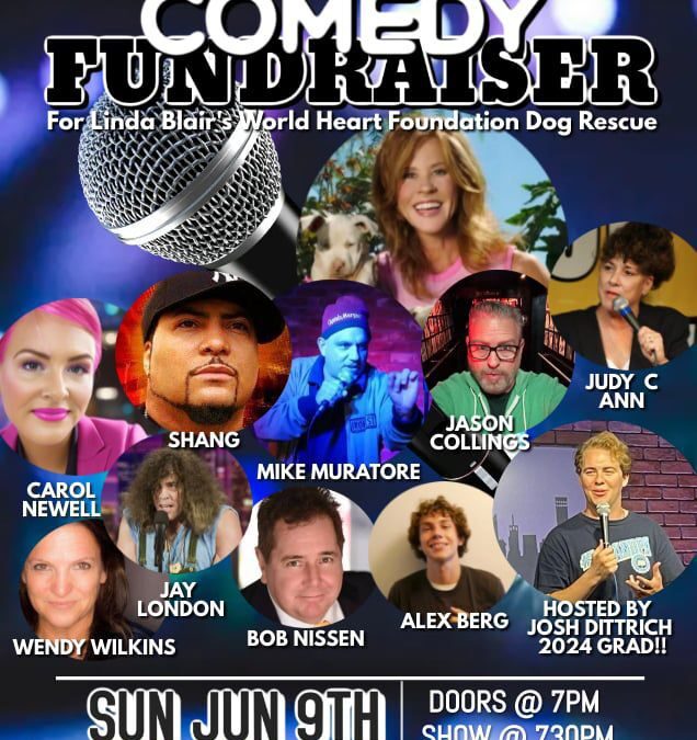 COMEDY FUNDRAISER